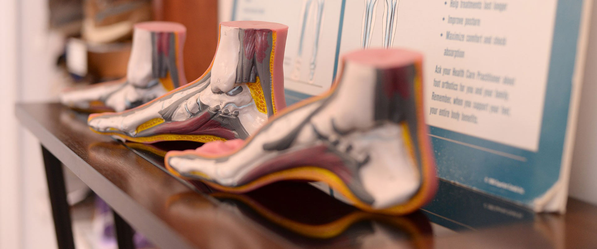 ns_orthoclinic_header
