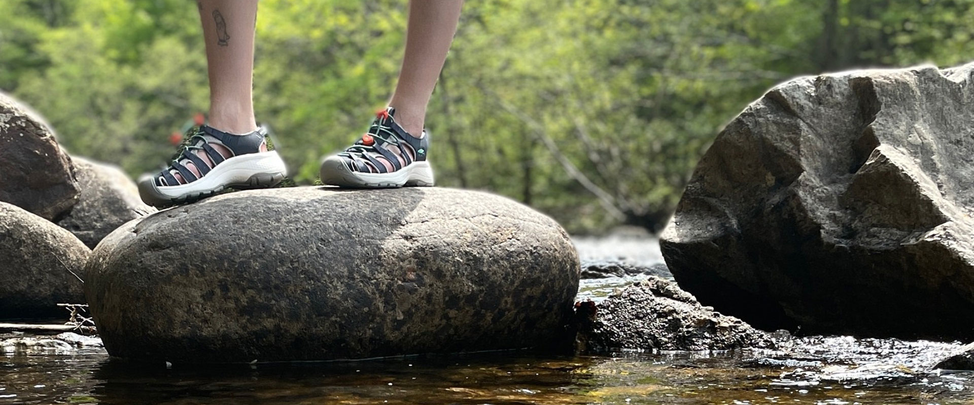 ns_header_trekkers